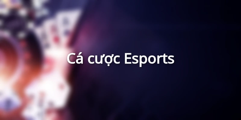 Những siêu phẩm cực hot của sảnh Saba